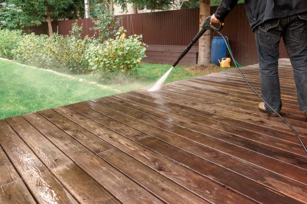 Best Soft Washing  in Topeka, IN