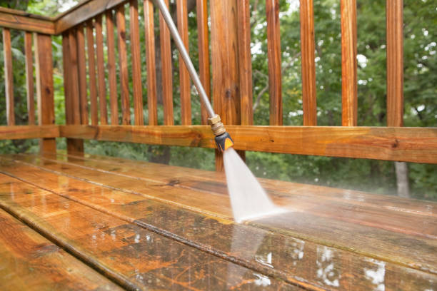 Best Gutter Cleaning  in Topeka, IN